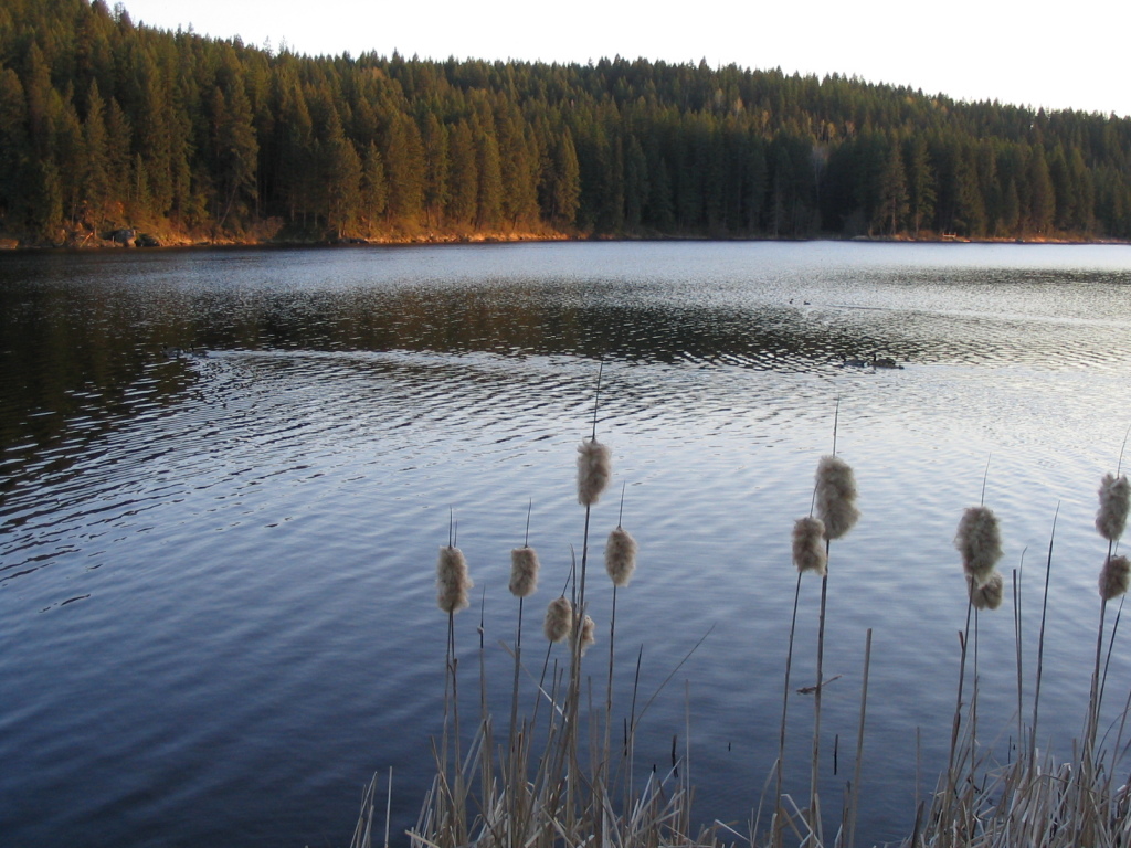 Kelso Lake, Idaho Al Turtle's Relationship Wisdom